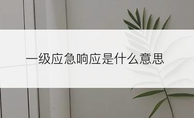 一级应急响应是什么意思