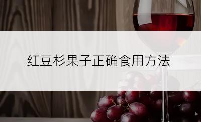 红豆杉果子正确食用方法