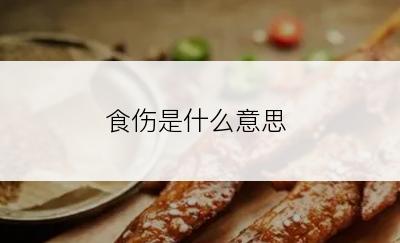 食伤是什么意思