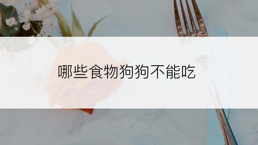 哪些食物狗狗不能吃