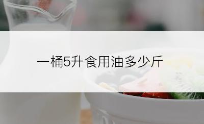 一桶5升食用油多少斤