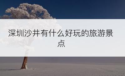 深圳沙井有什么好玩的旅游景点