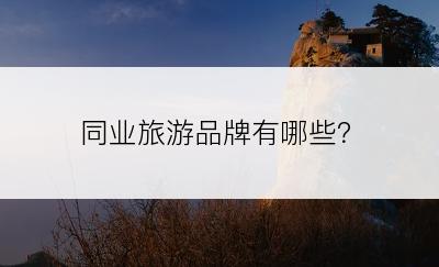 同业旅游品牌有哪些？