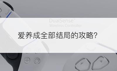 爱养成全部结局的攻略？