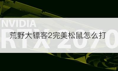 荒野大镖客2完美松鼠怎么打