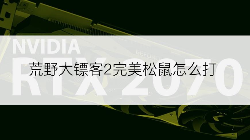 荒野大镖客2完美松鼠怎么打