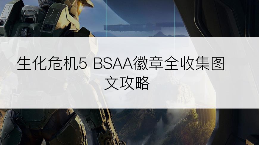 生化危机5 BSAA徽章全收集图文攻略