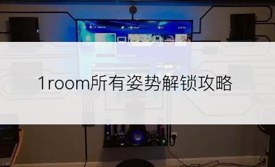 1room所有姿势解锁攻略