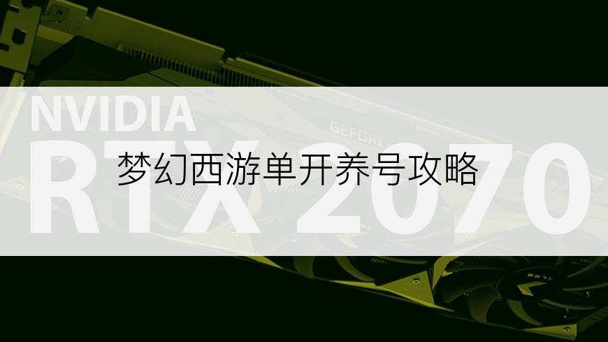 梦幻西游单开养号攻略