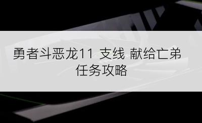 勇者斗恶龙11 支线 献给亡弟 任务攻略