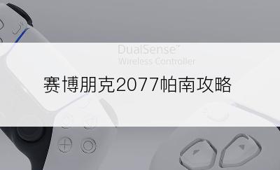 赛博朋克2077帕南攻略