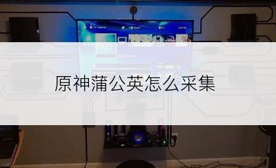 原神蒲公英怎么采集