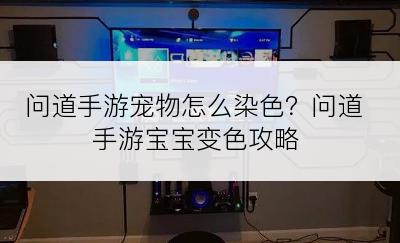 问道手游宠物怎么染色？问道手游宝宝变色攻略