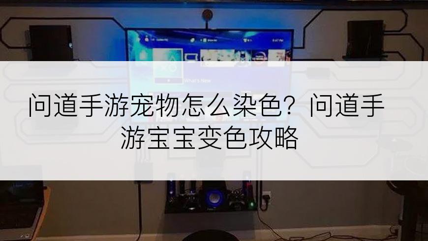 问道手游宠物怎么染色？问道手游宝宝变色攻略