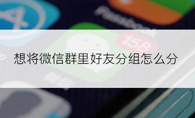 想将微信群里好友分组怎么分