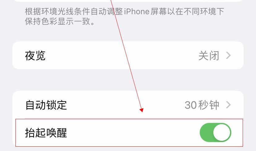 iPhone手机在哪里设置拿起来就自动亮屏