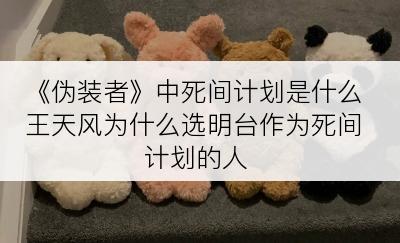 《伪装者》中死间计划是什么王天风为什么选明台作为死间计划的人