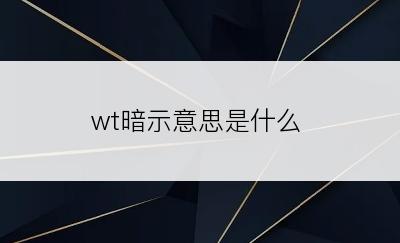 wt暗示意思是什么