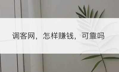 调客网，怎样赚钱，可靠吗