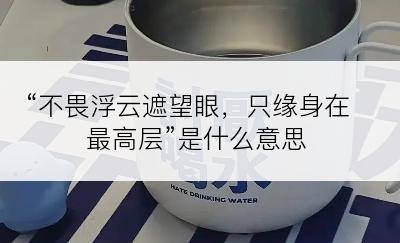 “不畏浮云遮望眼，只缘身在最高层”是什么意思