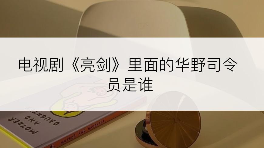 电视剧《亮剑》里面的华野司令员是谁