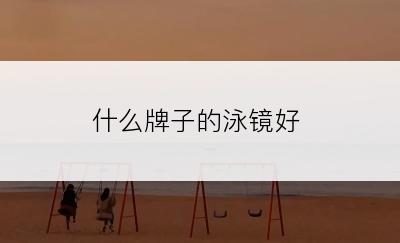 什么牌子的泳镜好