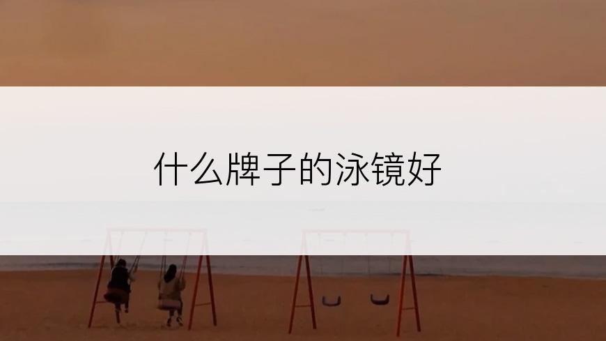 什么牌子的泳镜好