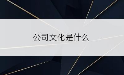 公司文化是什么