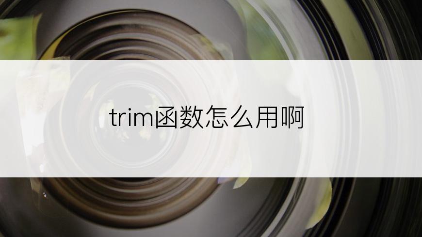 trim函数怎么用啊