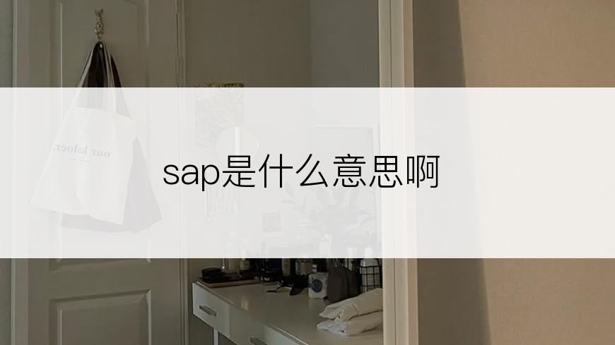 sap是什么意思啊