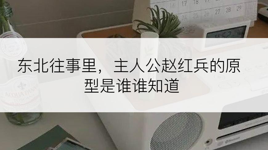 东北往事里，主人公赵红兵的原型是谁谁知道