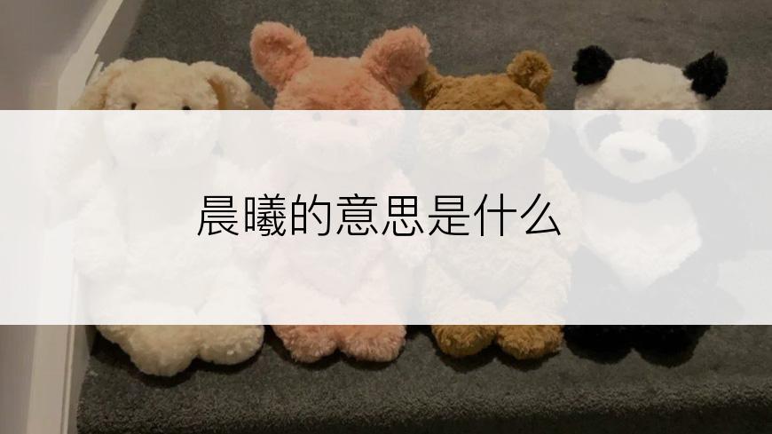 晨曦的意思是什么