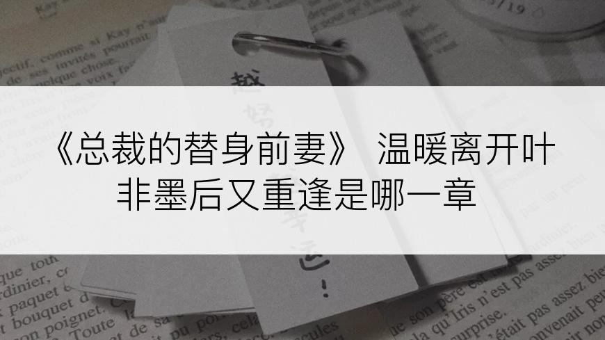 《总裁的替身前妻》 温暖离开叶非墨后又重逢是哪一章