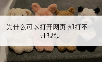 为什么可以打开网页,却打不开视频