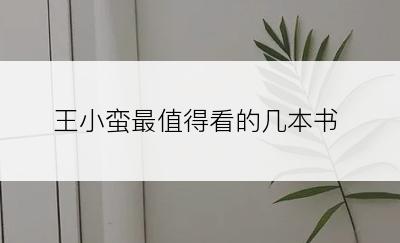 王小蛮最值得看的几本书