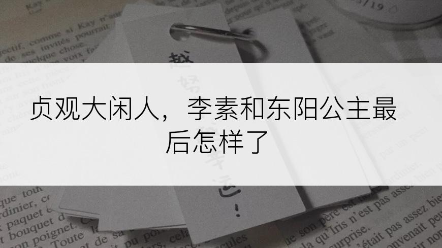 贞观大闲人，李素和东阳公主最后怎样了