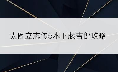 太阁立志传5木下藤吉郎攻略