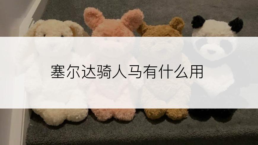 塞尔达骑人马有什么用