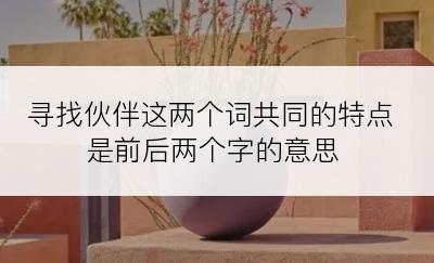 寻找伙伴这两个词共同的特点是前后两个字的意思