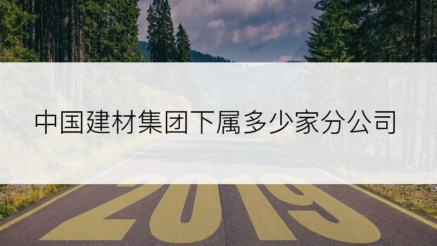 中国建材集团下属多少家分公司