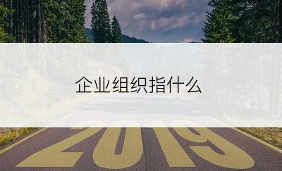 企业组织指什么