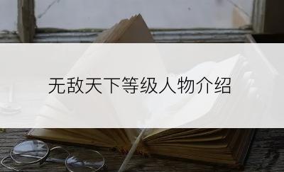 无敌天下等级人物介绍