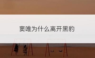 窦唯为什么离开黑豹