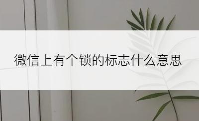 微信上有个锁的标志什么意思