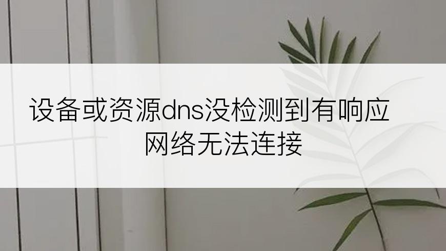 设备或资源dns没检测到有响应 网络无法连接