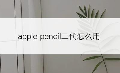 apple pencil二代怎么用