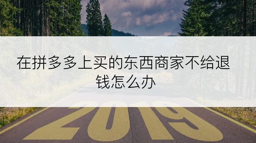 在拼多多上买的东西商家不给退钱怎么办