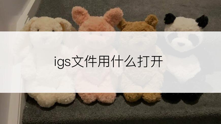 igs文件用什么打开