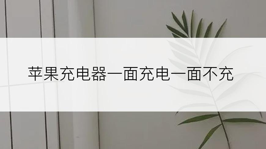 苹果充电器一面充电一面不充