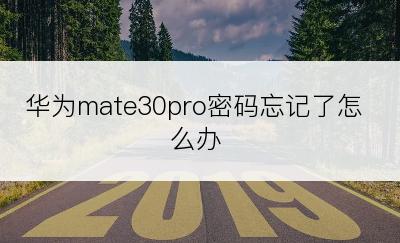 华为mate30pro密码忘记了怎么办